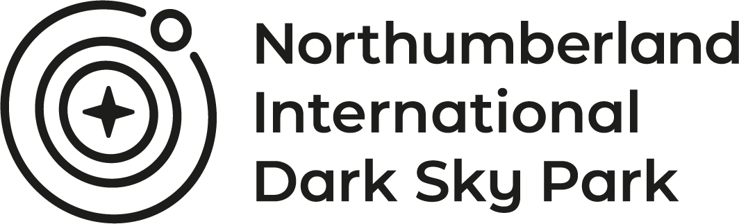 NIDSP Logo Black RGB