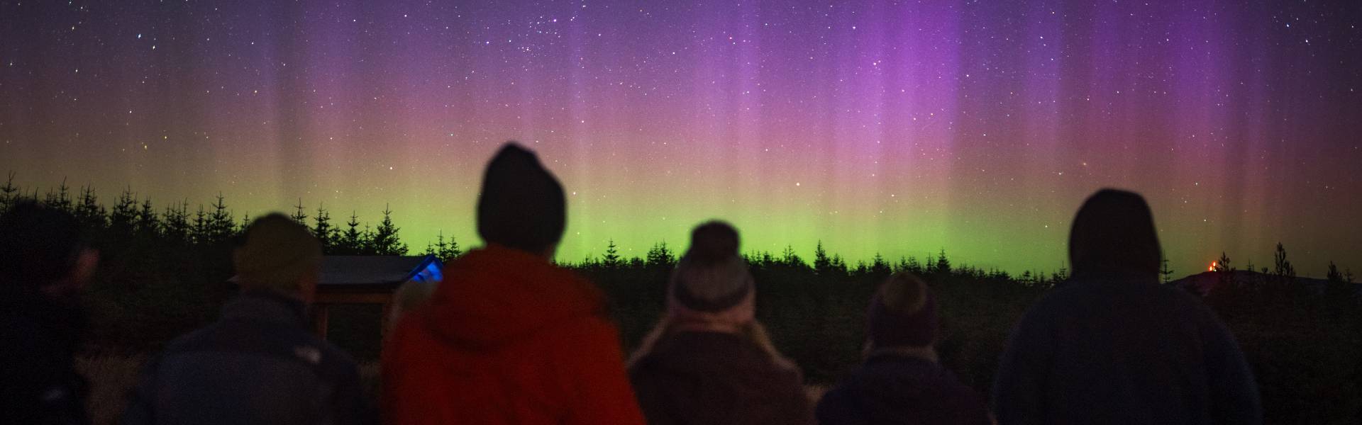 Groups look onto the Northern Lights in Northumberland